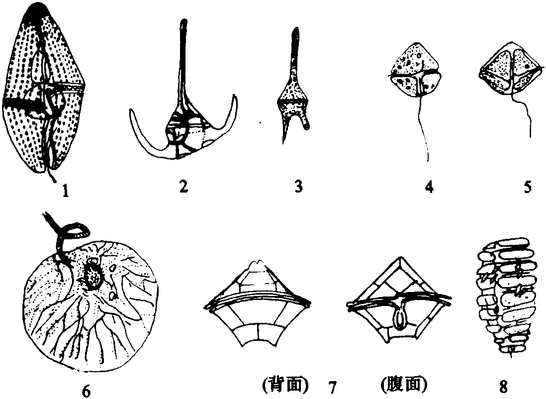 第二節(jié) 生物敵害